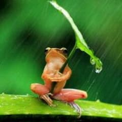 Leepro様のサムネイル