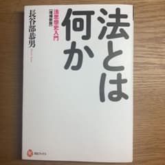 法とは何か 法思想史入門のサムネイル
