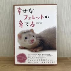 幸せなフェレットの育て方のサムネイル