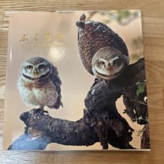 ふくろう　写真集のサムネイル