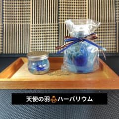 ＊天使の羽▪ハーバリウム＊2点セットのサムネイル