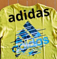 여성 adidas 반팔 T 셔츠 옐로우 climalite