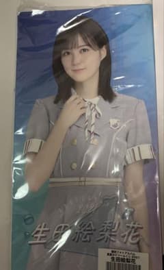 元乃木坂46 生田絵梨花　個別フォトアルバム　ケースのサムネイル