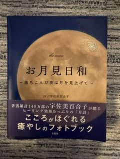 お月見日和のサムネイル