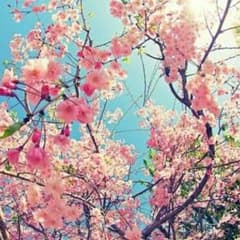 S☆☆様専用。のサムネイル