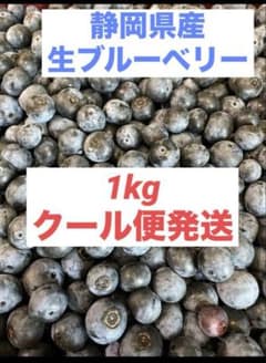 【静岡県産・無農薬】生ブルーベリー 1kg クール便のサムネイル