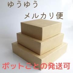 ゆうパック60サイズ   ポットごと発送のサムネイル