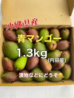 マンゴー(摘果マンゴー)青マンゴー グリーンマンゴー 1.3kg - メルカリ