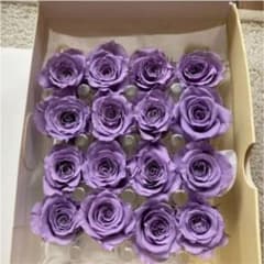 トミー様専用 ブリザーブドフラワー 薔薇 ラベンダー2輪のサムネイル