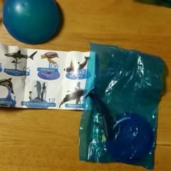 美ら海水族館　限定ガチャのサムネイル