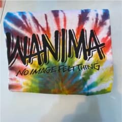 WANIMA カミナッチャツアー ロンT  Mのサムネイル
