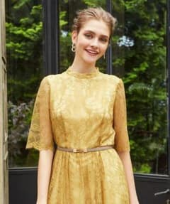 Aimer　エメ　ラッセルレース　ロングパーティードレスのサムネイル