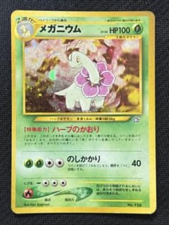 メガニウム_プレミアムファイル PROMO 第1世代 1996~1999 ポケカ