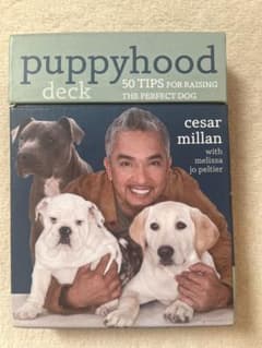 Cesar Millan puppyhoodのサムネイル