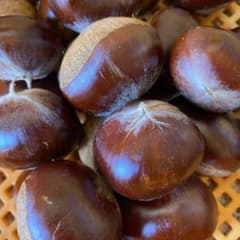 （お値打）無農薬・上州産大きな利平栗⑦１．２ｋｇ・渋皮煮・甘露煮のサムネイル