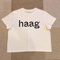 【正規品 美品】haag 韓国birthday Tシャツ ホワイト ヘイグ