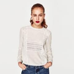chiii*様   専用   ZARA  刺繍入りトップスのサムネイル