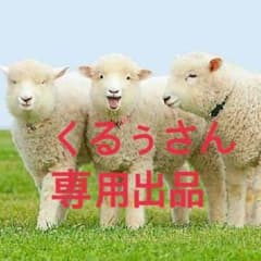 くるぅ様 専用出品のサムネイル