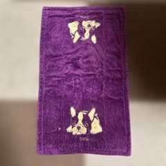横浜nanaのサムネイル