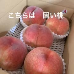 山梨の木のてっぺん桃　超特大を5個詰めて発送　人気商品　固い桃　あかつき 山梨の木のてっぺん桃 超特大を5個詰めて発送 人気商品 硬い桃