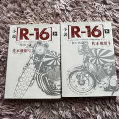 小説 R-16 上下巻セットのサムネイル