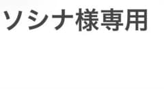 ネッター解剖学アトラス 原書第6版　専用品のサムネイル