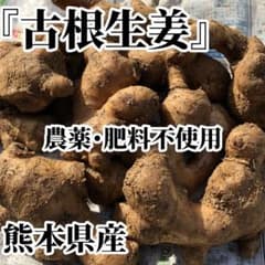 古根生姜 800g 肥料農薬栽培期間中不使用 露地栽培 熊本県産 自然栽培