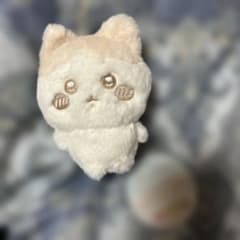 치이카와 박제 우유 이로 마스코트 1 하치와레