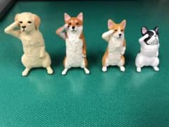 敬礼わんこのサムネイル