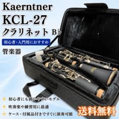 ✨美品✨Kaerntner ケルントナー クラリネット KCL-27 ケルントナー Kaerntner KCL-27 クラリネット B♭ 管楽器 - メルカリ