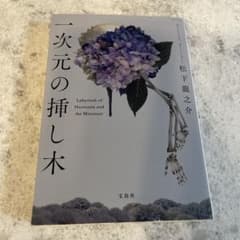 一次元の挿し木のサムネイル