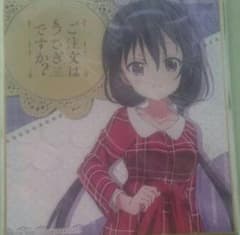 잔치 로손 한정 색지