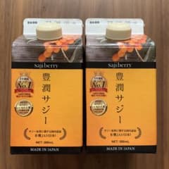 フィネス 黄酸汁 豊潤サジー 300ml オーガニック サジー ビタミンC 1…のサムネイル