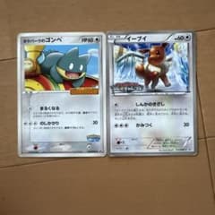 ポケパークのゴンベ イーブイ 2枚セットのサムネイル