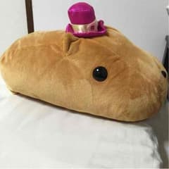 비매품 * 카피바라 씨