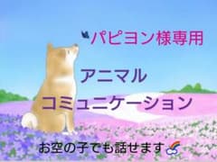 パピヨン様専用＊アニマルコミュニケーション・ペットの気持ち「通常版＊質問2個」のサムネイル