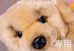 miruruupope様専用 (シュタイフ ゴールデン)のサムネイル