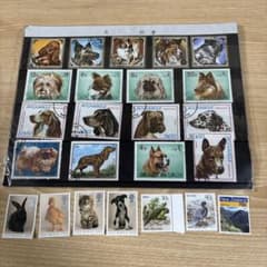 犬の切手コレクション 海外使用済切手セット - メルカリ