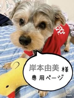 岸川由美様 リクエスト 2点 まとめ商品のサムネイル