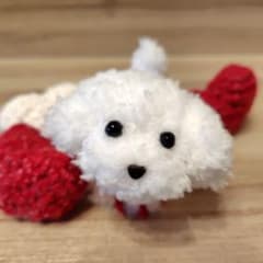 【専用です】トイプードル　マルプー　マルチーズ　犬のぬいぐるみ　白　ホワイトのサムネイル