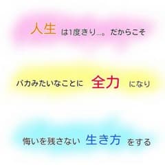 キムチ様専用のサムネイル