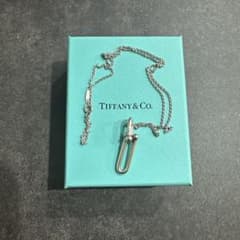 専用出品　ティファニー　シルバー　ネックレス　リンク　ワンポイント　細長 ティファニー【交渉・即購入可】シルバー ネックレス リンク ワン