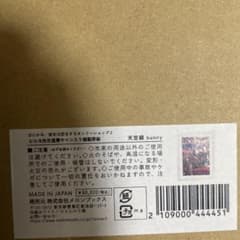 ピロ水 直筆サイン入り複製原画 バニー 天笠綴 - メルカリ