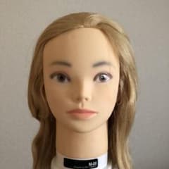アレンジ用 美容ウィッグのサムネイル