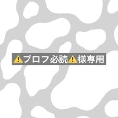 ⚠️プロフ必読⚠️様専用 - メルカリ