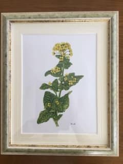 ボタニカルアート(菜の花) 額/マット付 - メルカリ