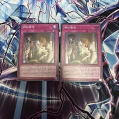 神の密告 2枚セットのサムネイル