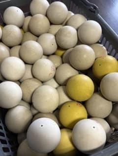 中古】ソフトテニスボール 100球(カゴ無し) - メルカリ