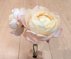 バラ　挿木苗　切り花品種　イヴティアユニークのサムネイル