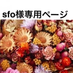 sfo様専用ページのサムネイル